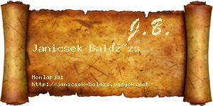 Janicsek Balázs névjegykártya